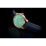 1-36-16-02-05-01 Senator Meissen