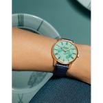 1-36-16-02-05-01 Senator Meissen