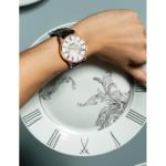 1-36-16-03-05-01 Senator Meissen