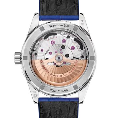 Seamaster 300 Platinum on Leather Strap 234.93.41.21.99.002