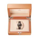 Seamaster 300 Bronze Gold