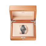 215.32.44.21.01.002 Planet Ocean Seamaster 600M Grey