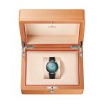 Seamaster Aqua Terra 150M 41mm 220.32.41.21.03.001